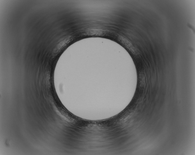 X0000098120538200804251454