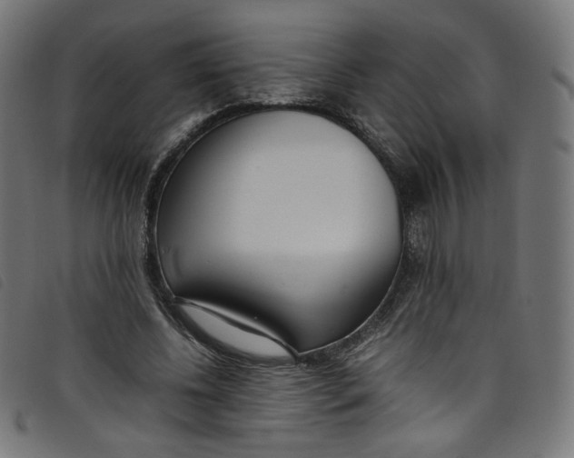 X0000098120540200804251454