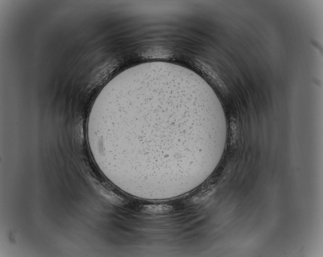X0000098120541200804251454