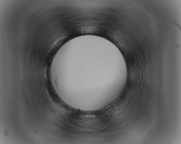 X0000098120543200804251454