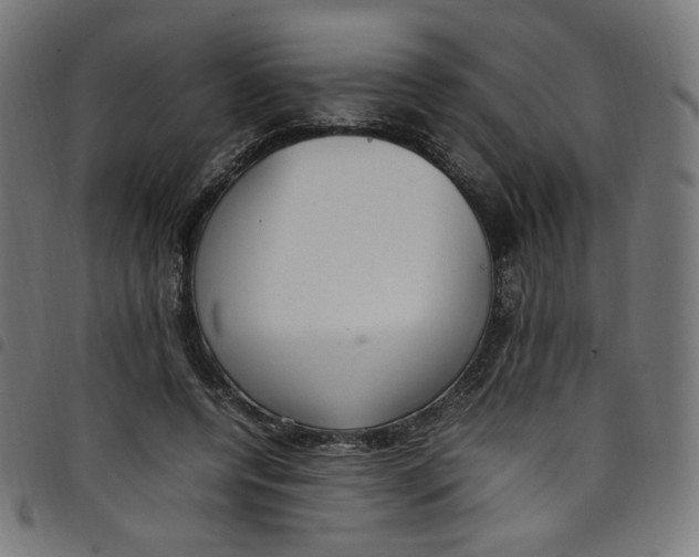 X0000098120544200804251454
