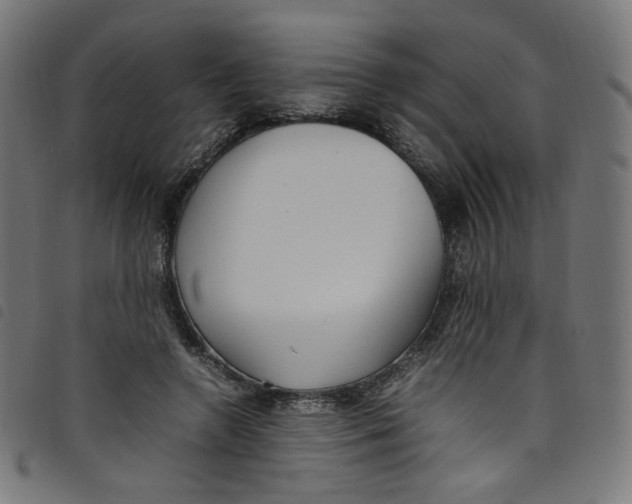 X0000098120546200804251454