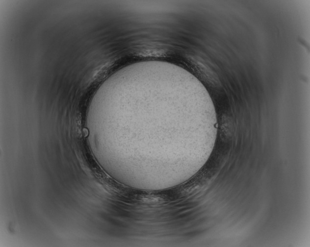 X0000098120547200804251454