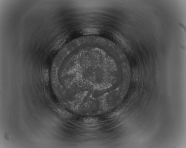 X0000098120549200804251454