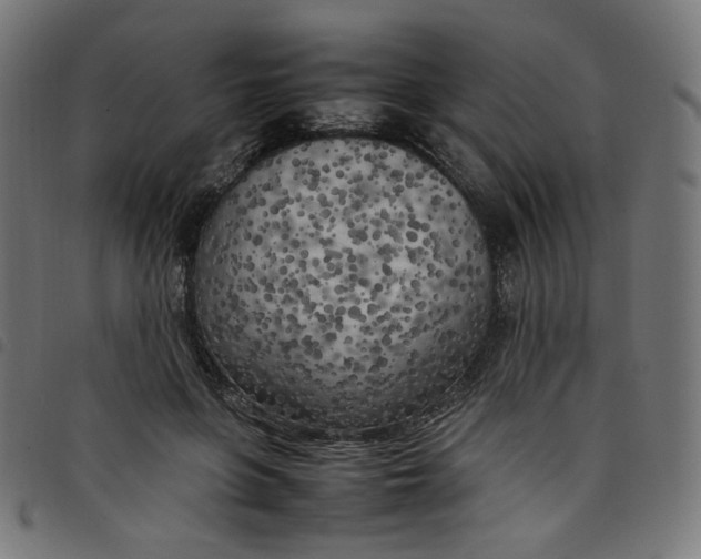 X0000098120551200804251454