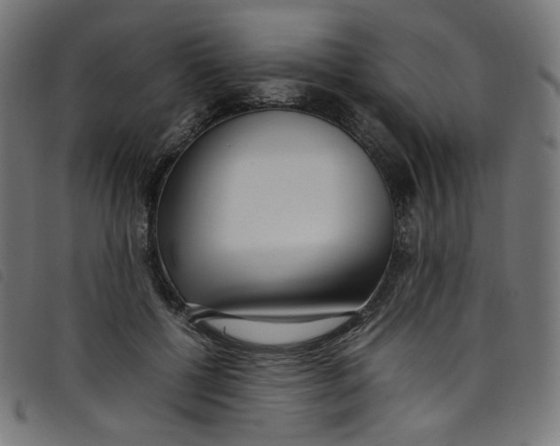 X0000098120552200804251454