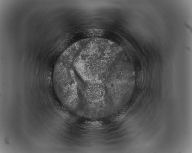 X0000098120553200804251454