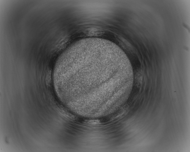X0000098120554200804251454