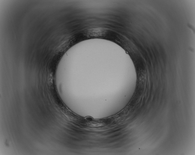 X0000098120555200804251454