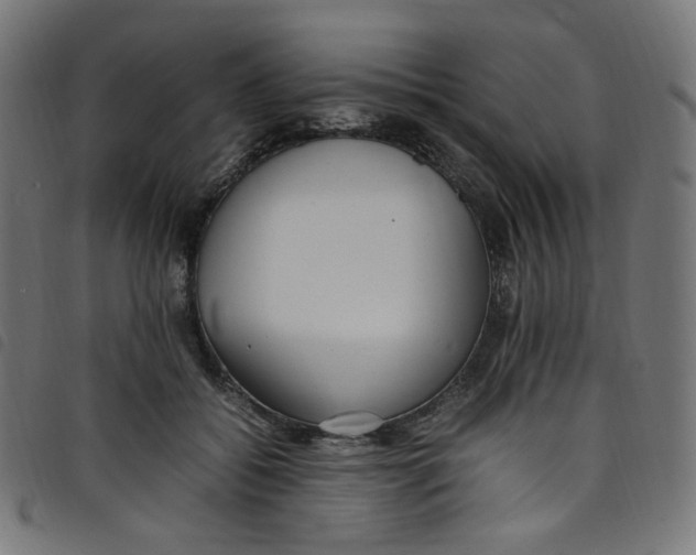 X0000098120556200804251454