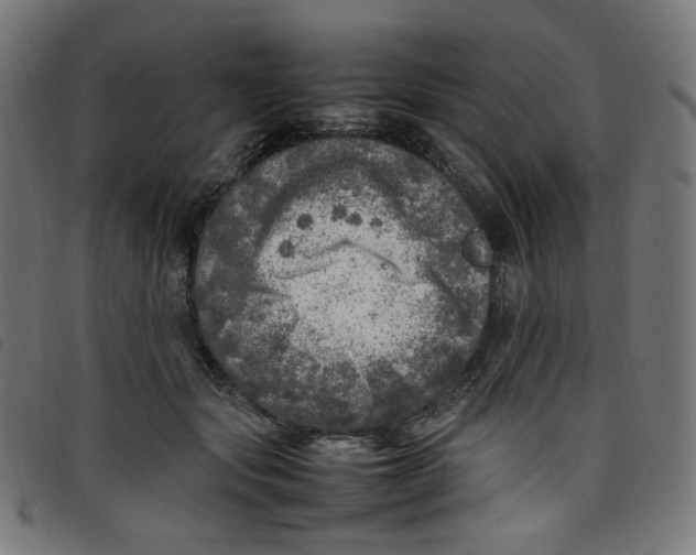 X0000098120557200804251454