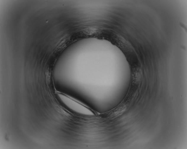 X0000098120558200804251454