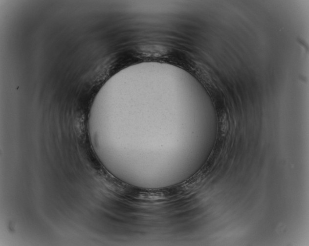 X0000098120559200804251454