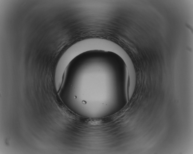 X0000098120560200804251454