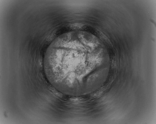 X0000098120561200804251454