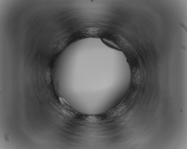 X0000098120562200804251454