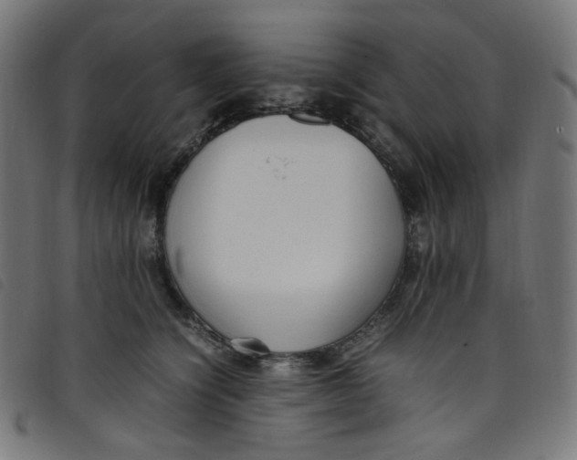 X0000098120564200804251454