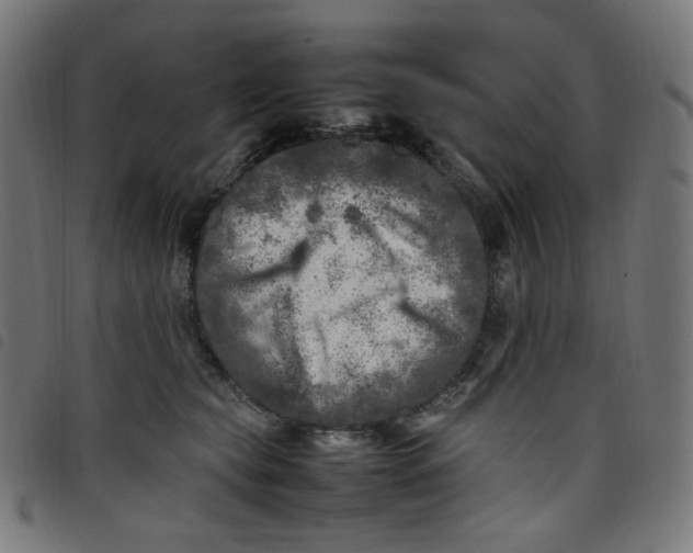 X0000098120565200804251454
