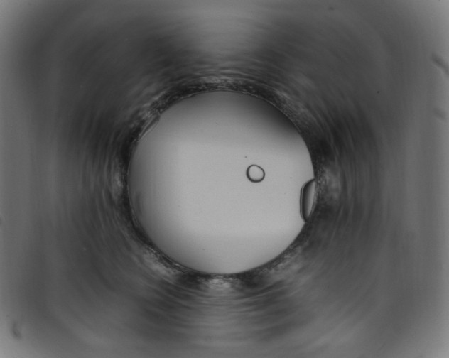 X0000098120566200804251454
