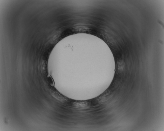 X0000098120567200804251454