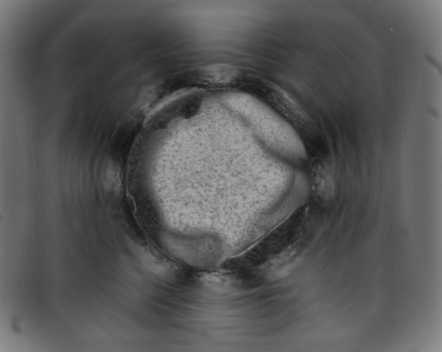 X0000098120568200804251454