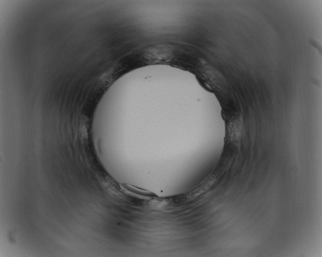 X0000098120570200804251454