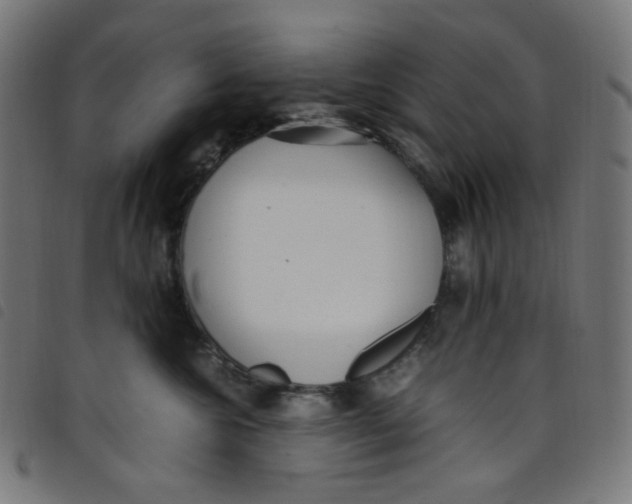 X0000098120572200804251454