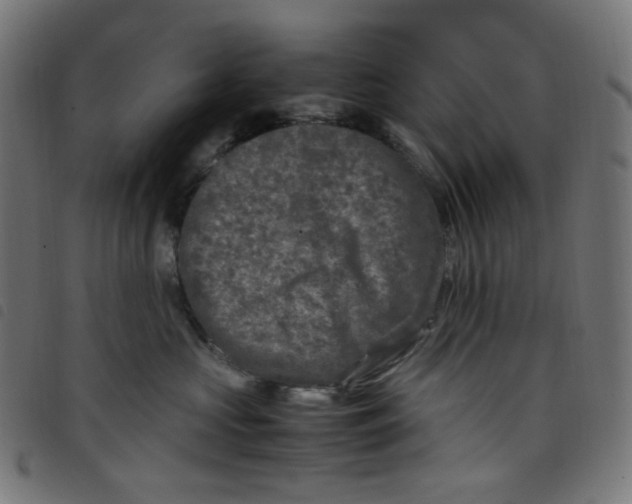 X0000098120573200804251454