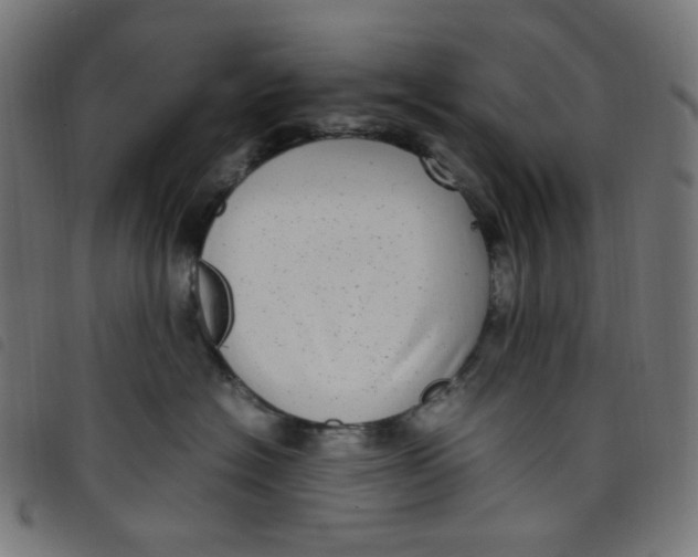 X0000098120574200804251454