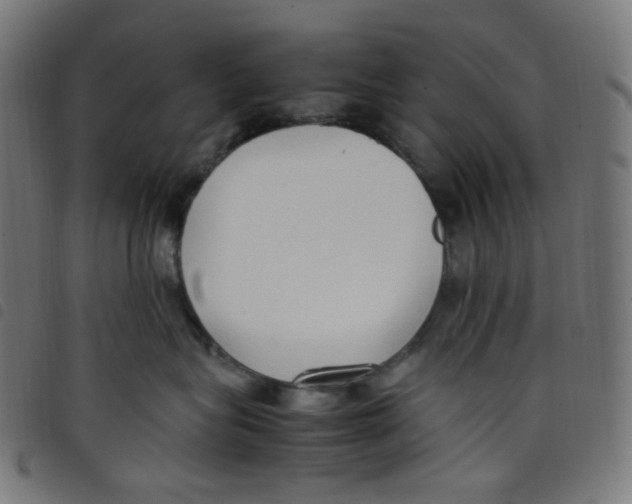 X0000098120575200804251454