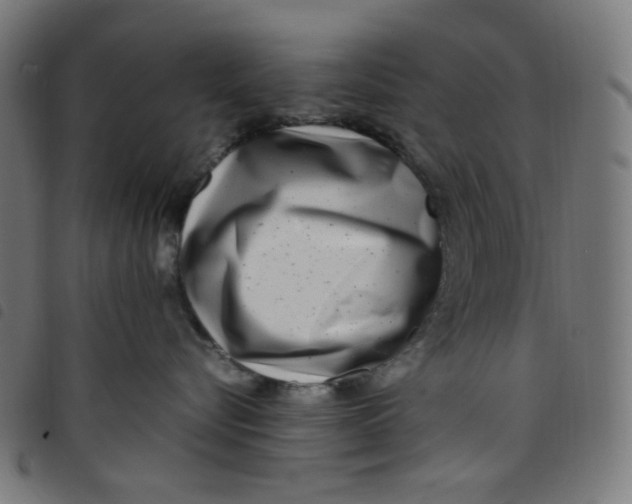 X0000098120576200804251454