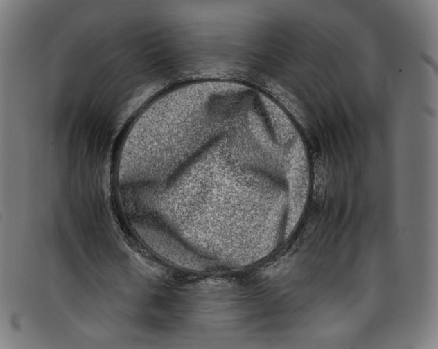 X0000098120578200804251454