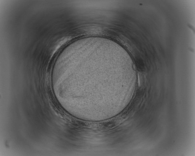 X0000098120579200804251454