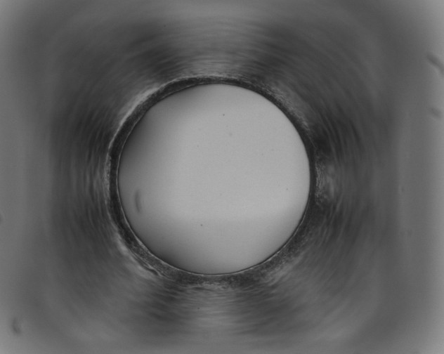 X0000098120580200804251454
