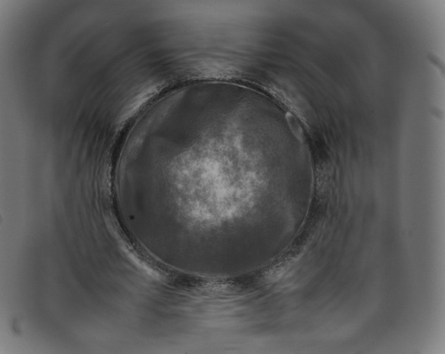 X0000098120581200804251454