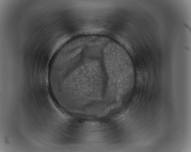 X0000098120582200804251454