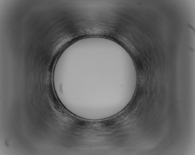 X0000098120583200804251454