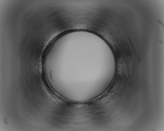 X0000098120584200804251454