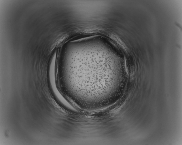 X0000098120585200804251454