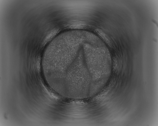 X0000098120586200804251454