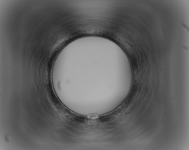 X0000098120587200804251454