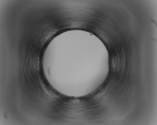 X0000098120588200804251454