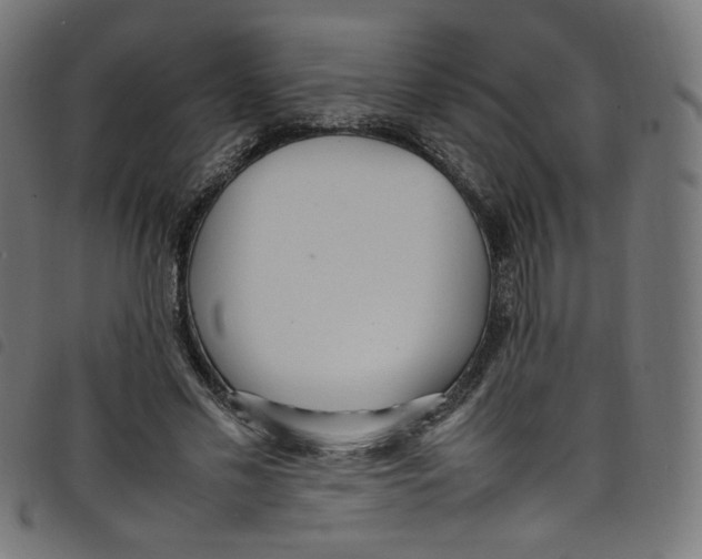 X0000098120589200804251454