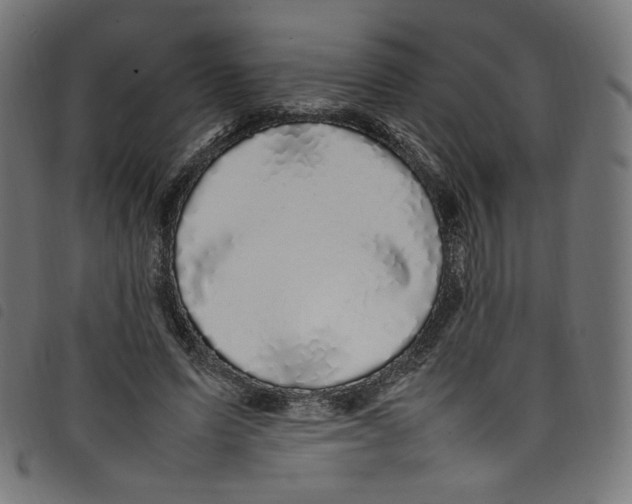 X0000098120591200804251453