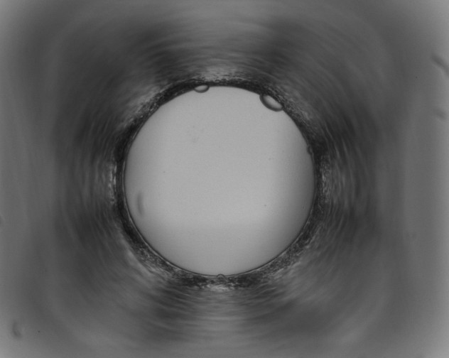 X0000098120592200804251453