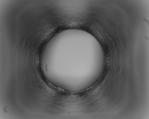 X0000098120593200804251453
