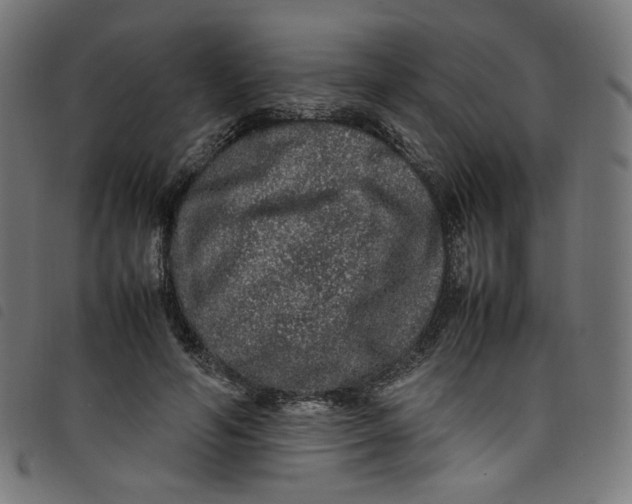 X0000098120594200804251453