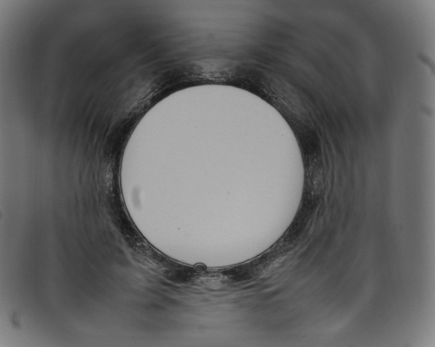 X0000098120595200804251453