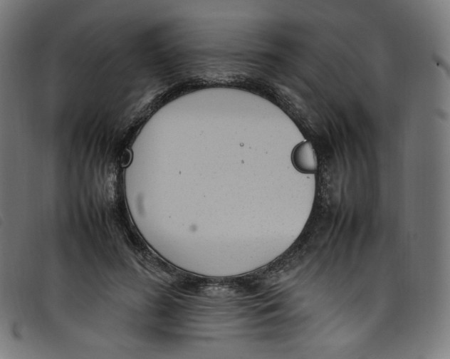 X0000098120596200804251453