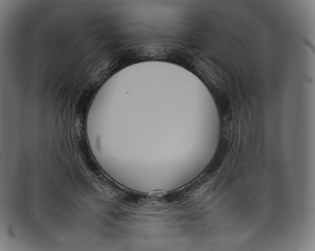 X0000098120597200804251453